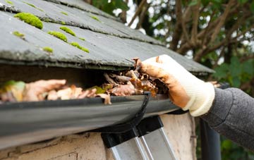 gutter cleaning Newton On Ayr, South Ayrshire