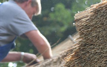 professional Newton On Ayr thatchers