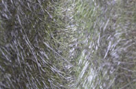 Newton On Ayr fibreglass roof work